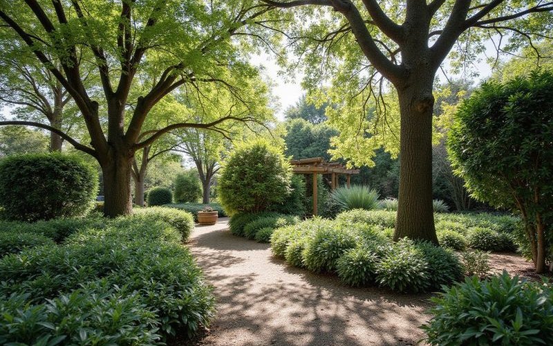 Layered garden planting showing tall trees for canopy shade middle-storey shrubs for structure and groundcovers creating a complete ecosystem in a Melbourne garden